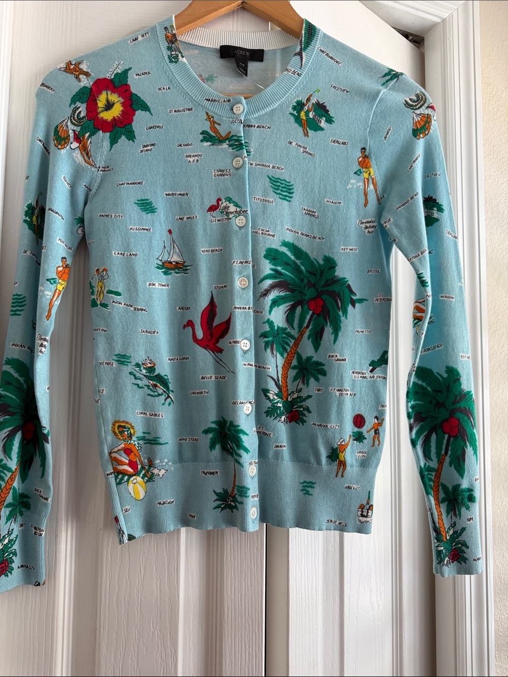J. Crew Light Blue Tropical Print Cardigan with Multicolor Motifs